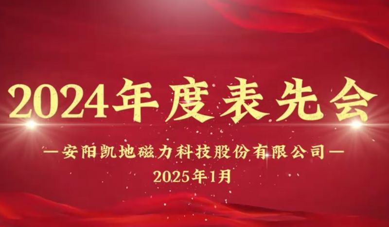 公司召開(kāi)2024年度表先會(huì)，對(duì)37名優(yōu)秀員工進(jìn)行表彰